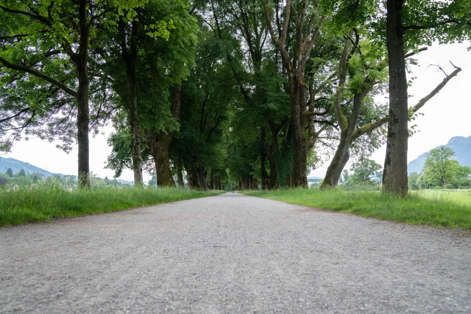 Hellbrunner Allee